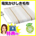 2特典【お米+ポイント】電気掛敷兼用毛布 電力38
