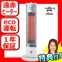 在庫有り アラジン 遠赤外線ヒーター 電気シーズヒーター AEH-S802N 遠赤シーズヒーター Aladdin アラジン 電気ストーブ AEHS802Nタテ型電気ヒーター AEH-S801N の新型 アラジンストーブ