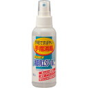 健栄製薬 消毒用エタノールAケンエー(スプレー式) 100ml (医薬部外品)