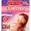 花王 めぐりズム 蒸気でホットアイマスク ラベンダーセージの...