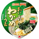 テーブルマーク MKG おいしいわかめうどん 71g