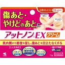 【第2類医薬品】小林製薬 アットノンcEX クリーム 15g