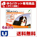●【ゆうパケット(ポスト投函)】【送料無料】フロントラインプラス犬用 XL(40?60kg) 1箱6本入【動物用医薬品】【ノミ・ダニ・シラミ駆除】