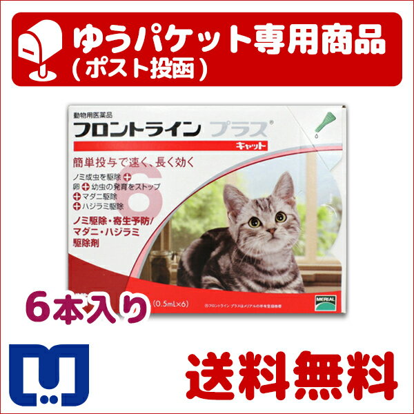 ●【ゆうパケット(ポスト投函)】【送料無料】フロントラインプラス猫用　1箱6本入【動物用医…...:matsunami:10013116