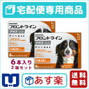 【200円OFFクーポン】【送料無料】フロントラインプラス犬用 XL(40~60kg) 1箱6本入 2箱セット【動物用医薬品】【宅配便】【ノミ・ダニ・シラミ駆除】【あす楽_土曜日営業】【4/20(金)10:00~4/26(木)1:59】