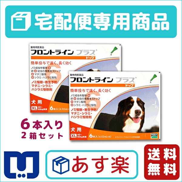 【最大500円OFFクーポン&大感謝セール】【送料無料】フロントラインプラス犬用 XL（40〜60kg）　1箱6本入　2箱セット【動物用医薬品】【宅配便】【ノミ...