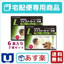 【最大500円OFFクーポン】【動物用医薬品】マイフリーガード犬用L(20〜40kg)2.68ml×6個ピペット 2箱セット【あす楽_土曜日営業】【8/18(金)10:00〜8/23(水)9:59】