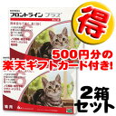 フロントラインプラス猫用 1箱6本入 2箱＋カード500円分楽天ギフトカード付き！　