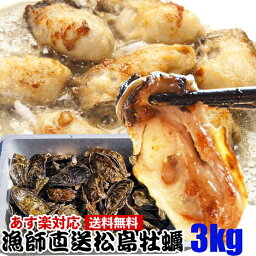 あす楽対応 「加熱用 牡蠣 3kg」【約33粒】 3キロ 殻付き 牡蠣 殻付き 牡蛎 牡蠣 殻付 <strong>宮城県産</strong> 無選別牡蠣 カキ 加熱用 松島牡蠣屋 送料無料 BBQ 母の日 父の日 ギフト 食べ物 お中元 <strong>お歳暮</strong> バーベキュー食材 海産物【80】