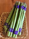アスパラガス 三重産【野菜セット同梱で送料無料】...