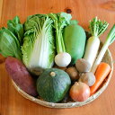 野菜10品以上セット 新鮮な野菜を毎日厳選してお届けします!...