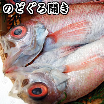 超高級魚のどぐろ一夜干し【冷凍】1枚　約170-200g程度【浜坂産】（赤睦・ノドグロ・干…...:matubagani:10001382