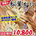 【送料無料】とれたて訳あり・松葉ガニ(生) 2-5枚入【浜坂...