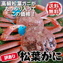 【送料無料】訳あり・松葉ガニ【生orボイル】約1kg程度入(2-4枚入)【浜坂産】【着日指定不可】松葉かに、松葉カニ、蟹、松葉ガニ、ズワイガニ、ずわいがに、規格外、訳あり