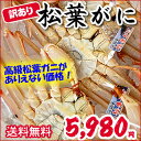【送料無料】とれたて訳あり・松葉ガニ(生)2-3枚入【浜坂産...