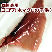 Ri{}O̎qjyⓀz3`4L̃R1/4@ylYz悱E܂E