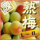 梅干し に最適 完熟 南高梅 和歌山県みなべ町産 紀州南高梅 L?4Lサイズ混合 約3kg