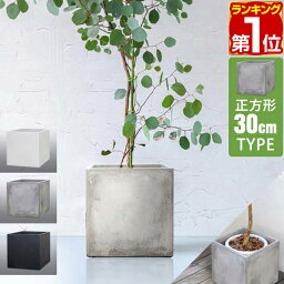 【楽天1位】プランター 大型 30×30cm スクエア 正方形 深型 プランターボックス 植木鉢 鉢植えカバー プランターカバー 鉢カバー 目安 5号～8号 屋外 ガーデニング 観葉植物 家庭菜園 玄関 軽量 グラスファイバー 排水穴 モダン おしゃれ 1年保証 ★[送料無料]