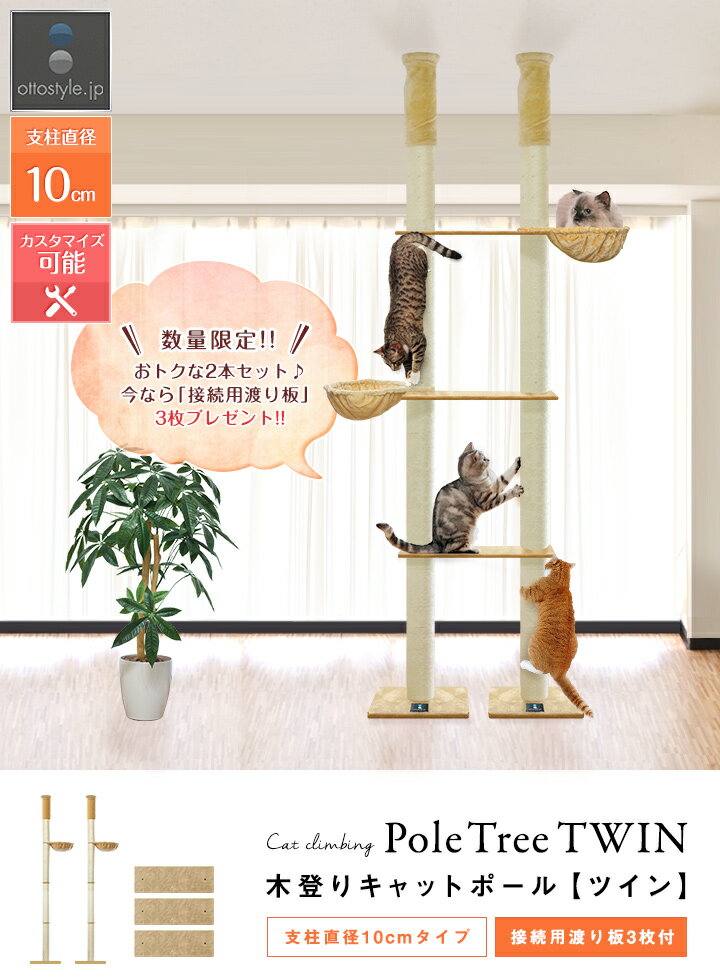  Kat Banker LbgoJ[@L@ Kat Banker LbgoJ[@L@ []yzyzy\trzyz