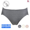 20%OFF!! Wacoal ワコール スゴ衣 洗えるシルク ビキニ・ハイレッグ M・Lサイズ PPE190
