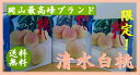 【予約販売】【プレミアム限定フルーツ】岡山白桃【清水白桃】1.5kg箱詰 ご進物用 5〜6個【ご進物・贈答用・お中元フルーツ】7月下旬よりお届け