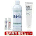 【送料無料】プロフレッシュ オーラルリンス 500ml + トゥースペースト 歯磨き粉 110g 限定セット 日本正規品 口臭