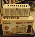 ●YAMAHA / THR-10 / V.2 Modified Edition【KK9N0D18P】【RCP】