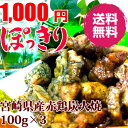 宮崎名物料理　赤鶏炭火焼100g×3パック赤字覚悟の送料無料お試し特価!!化学調味料無添加!大地の恵みをどうぞご賞味下さい。