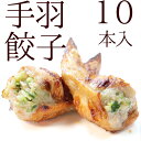 手羽先餃子 10本入(約550g) 手羽餃子 冷凍