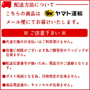 おつまみ 焼き鳥 宮崎名物 鶏の炭火焼100g×3セット　1000円 ポッキリ