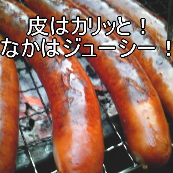 ＜冷凍品＞【BBQに.おすすめ！】 あらびきポークフランク 1パック　450g入り(1本約90g　5本入)【皮はカリッと！なかはジューシー！】