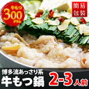 博多 もつ鍋 セット 2?3人前(ホルモン300g/濃縮スープ240g/麺2玉) 本品2セット同梱でおまけ ホルモン鍋 お中元
