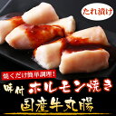 たれ漬け 国産 牛 丸腸 マルチョウ 250g シロコロ ホルモン 味付き 焼肉 バーベキュー BBQ お中元