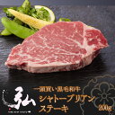 黒毛和牛A5等級最高峰BMS12 黒毛和牛 史上最強の一頭買い シャトーブリアンステーキ 1枚200g