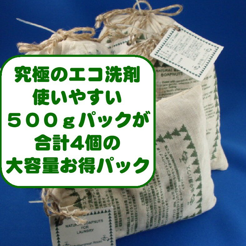 ץʥåġʥ꥿2kg4Ĥʬ̵Ķʡ¸ˤ⡢£ʪˤ̵ĶȤ䤹ʬˤΥޥץʥåġʥ꥿˥ʥ륿׻Ȥդ2kgåȡ500gx4)