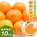 【あす楽対応】いよかん 10kg 和歌山県産 訳あり・ご家庭用 / 伊予柑 送料無料(北海道・沖縄県除く)【配達日指定不可】