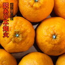 【数量限定セール】デコポンと同品種 しらぬい 不知火 8kg...