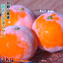 冷凍みかん 3kg 和歌山県産 訳あり・ご家庭用 送料無料(東北・北海道・沖縄県除く)【同梱不可】