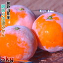 冷凍みかん 5kg 和歌山県産 訳あり・ご家庭用 送料無料(東北・北海道・沖縄県除く)【同梱不可】