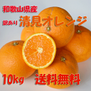 清見オレンジ 10kg 和歌山県産 訳あり・ご家庭用 / きよみ 送料無料(北海道・沖縄