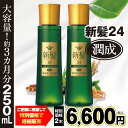 薬用発毛促進剤 新髪24潤成 250mL【送料無料】