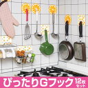 吸着ハンガー!ぴったりGフック12枚セット(はがして貼って繰り返し使える!)【はぴねすくらぶテレビショッピング】