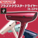 SHARP プラズマクラスタードライヤー IB-GP9(ルー...