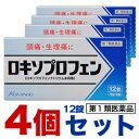 【第1類医薬品】【お得な4個セット】【毎日ポイント2倍】【皇...