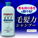 なんと!あの【ライオン】薬用毛髪力 シャンプー 200ml ...