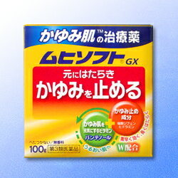 【池田模範堂】ムヒソフトGX　100g【第3類医薬品】