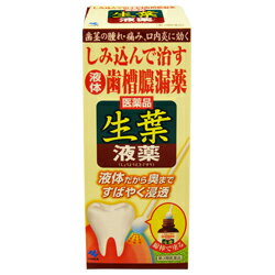 【毎日ポイント5倍＠大特価】【小林製薬】生葉液薬　20g【第3類医薬品】☆☆※お取り寄せ商品