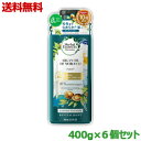 【送料無料の6個セット】なんと!あの【P&G】ハーバルエッセンス ビオリニュー モロッカンオイル コンディショナー 400g が「この価格!?」しかも1/28迄ポイント5倍! ※お取り寄せ商品【RCP】