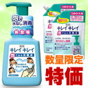 なんと！あの【ライオン】キレイキレイ 薬用「泡で出る消毒液」が250mlポンプと詰替え用2個のセットで激安特価！☆数量限定です！