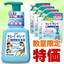 なんと！あの【ライオン】キレイキレイ 薬用「泡で出る消毒液」が250mlポンプと詰替え用4個のセットで激安特価！☆数量限定です！